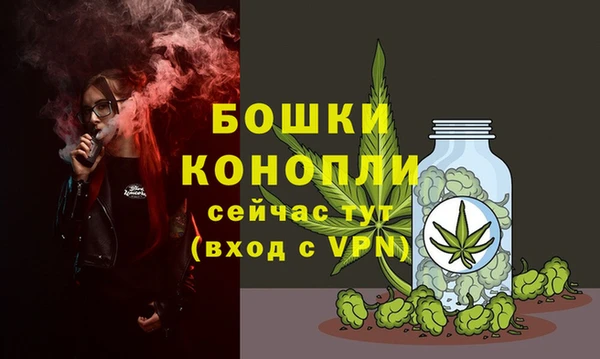 бошки Верея