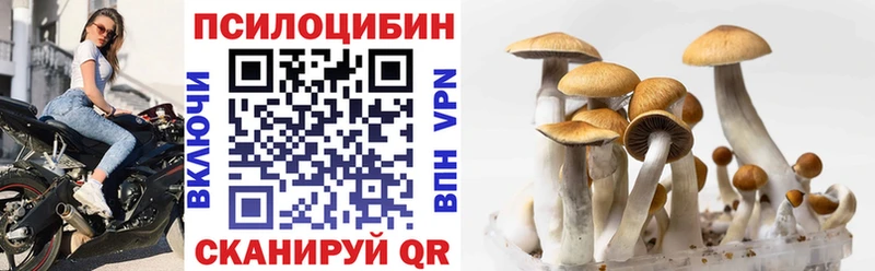 Галлюциногенные грибы MAGIC MUSHROOMS  где найти наркотики  mega ONION  Курган 